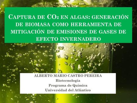 C APTURA DE CO 2 EN ALGAS : GENERACIÓN DE BIOMASA COMO HERRAMIENTA DE MITIGACIÓN DE EMISIONES DE GASES DE EFECTO INVERNADERO ALBERTO MARIO CASTRO PEREIRA.