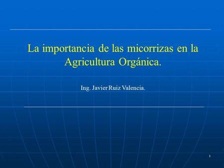 1 La importancia de las micorrizas en la Agricultura Orgánica. Ing. Javier Ruiz Valencia.
