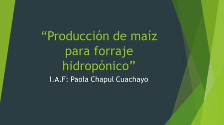 “Producción de maíz para forraje hidropónico” I.A.F: Paola Chapul Cuachayo.