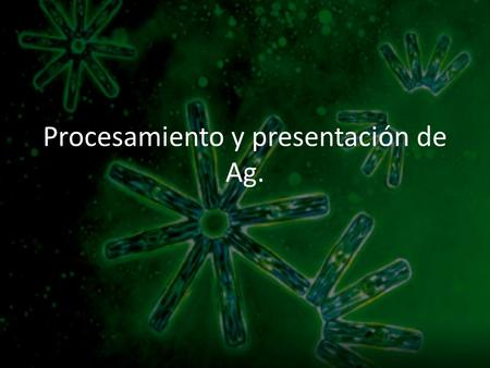 Procesamiento y presentación de Ag.. Procesamiento del antígeno: es la degradación del antígeno proteico hasta péptidos. Presentación del antígeno procesado: