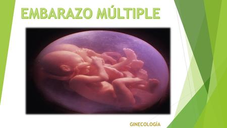  Presencia de 2 o más productos en el mismo periodo de gestación.  Monocigotos: Unión del ovulo y espermatozoide y en su desarrollo se separan las células.