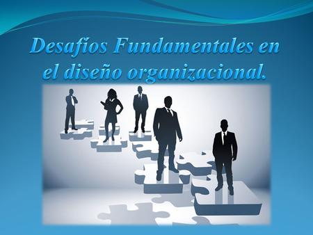 Los elementos básicos de diferenciación son las funciones organizacionales. Una función organizacional es un conjunto de comportamientos relacionados.