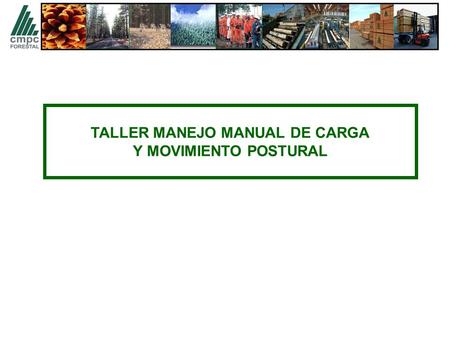 TALLER MANEJO MANUAL DE CARGA Y MOVIMIENTO POSTURAL.