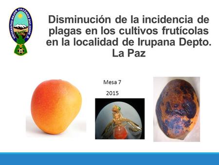 Disminución de la incidencia de plagas en los cultivos frutícolas en la localidad de Irupana Depto. La Paz Mesa