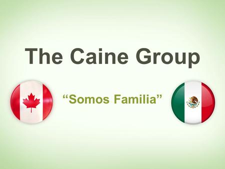 The Caine Group Somos Familia. La Compañia Commonwealth Plywood LTd The Commonwealth Plywood Co. Ltd. Fue fundada en 1940 para producir Abedul. La chapa.