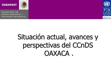 Situación actual, avances y perspectivas del CCnDS OAXACA.