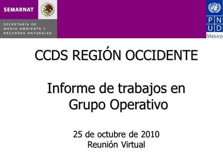 CCDS REGIÓN OCCIDENTE Informe de trabajos en Grupo Operativo 25 de octubre de 2010 Reunión Virtual.