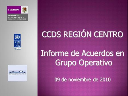 CCDS REGIÓN CENTRO Informe de Acuerdos en Grupo Operativo 09 de noviembre de 2010.
