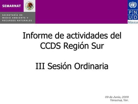 09 de Junio, 2009 Veracruz, Ver. Informe de actividades del CCDS Región Sur III Sesión Ordinaria.