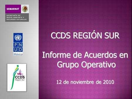 CCDS REGIÓN SUR Informe de Acuerdos en Grupo Operativo 12 de noviembre de 2010.