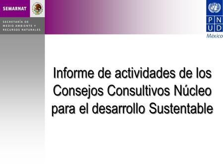 Informe de actividades de los Consejos Consultivos Núcleo para el desarrollo Sustentable.