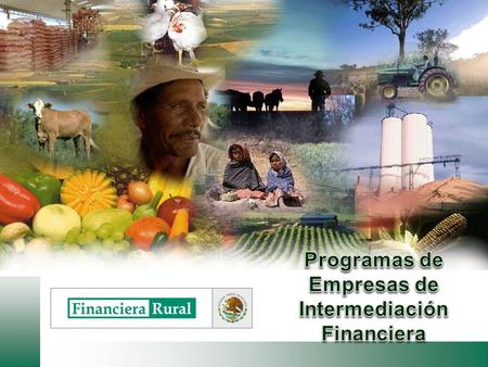 Programas de Empresas de Intermediación Financiera