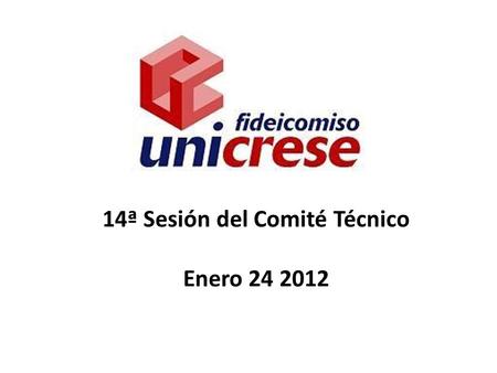 14ª Sesión del Comité Técnico Enero