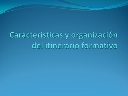 Características y organización del itinerario formativo