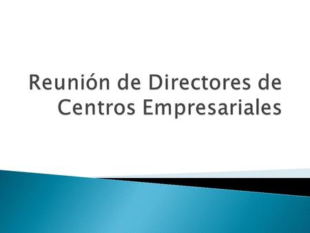 Taller Introductorio para directores Febrero Análisis estratégico individual de CE Febrero a Abril Seminario de Centros Empresariales Abril Implementación.