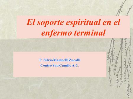 El soporte espiritual en el enfermo terminal