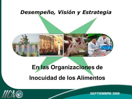 Desempeño, Visión y Estrategia En las Organizaciones de Inocuidad de los Alimentos SEPTIEMBRE 2008.