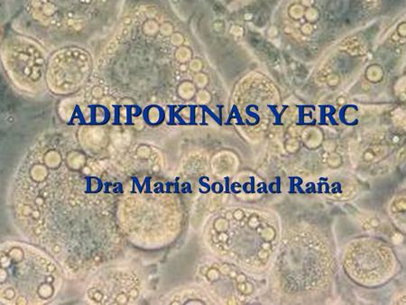 ADIPOKINAS Y ERC Dra María Soledad Raña