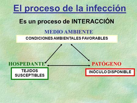 El proceso de la infección CONDICIONES AMBIENTALES FAVORABLES