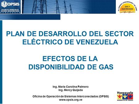 PLAN DE DESARROLLO DEL SECTOR ELÉCTRICO DE VENEZUELA