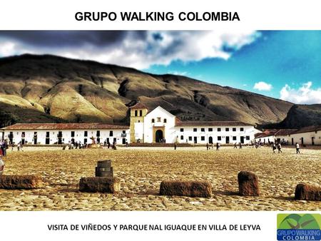 GRUPO WALKING COLOMBIA