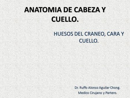 ANATOMIA DE CABEZA Y CUELLO.