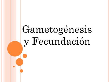 Gametogénesis y Fecundación