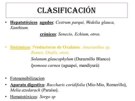 CLASIFICACIÓN Hepatotóxicos agudos: Cestrum parqui, Wedelia glauca, Xanthium. crónicos: Senecio, Echium, otros. Sistémicos: Productoras de Oxalatos: Amaranthus.