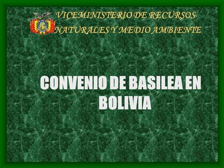 VICEMINISTERIO DE RECURSOS NATURALES Y MEDIO AMBIENTE