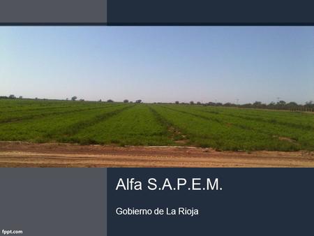 Alfa S.A.P.E.M. Gobierno de La Rioja.