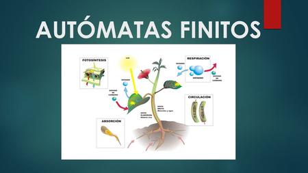 AUTÓMATAS FINITOS. TERMINOLOGÍA BÁSICA  Tabla de transición. La información de un autómata, así como los valores que puede tomar la función 5,