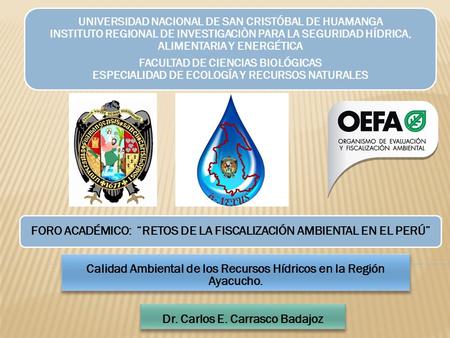 UNIVERSIDAD NACIONAL DE SAN CRISTÓBAL DE HUAMANGA INSTITUTO REGIONAL DE INVESTIGACIÒN PARA LA SEGURIDAD HÍDRICA, ALIMENTARIA Y ENERGÉTICA FACULTAD DE CIENCIAS.