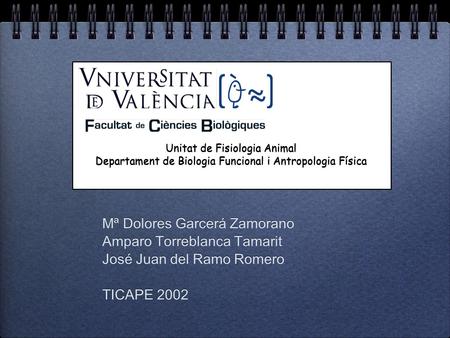 Mª Dolores Garcerá Zamorano Amparo Torreblanca Tamarit José Juan del Ramo Romero TICAPE 2002 Mª Dolores Garcerá Zamorano Amparo Torreblanca Tamarit José.