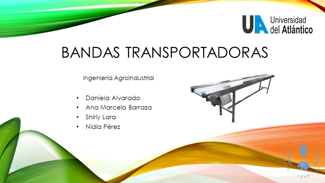 BANDAS TRANSPORTADORAS - ppt video online descargar