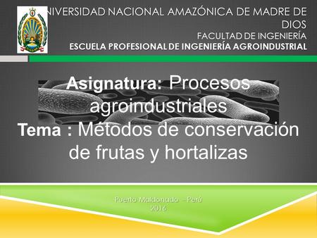 UNIVERSIDAD NACIONAL AMAZÓNICA DE MADRE DE DIOS ESCUELA PROFESIONAL DE INGENIERÍA AGROINDUSTRIAL UNIVERSIDAD NACIONAL AMAZÓNICA DE MADRE DE DIOS FACULTAD.