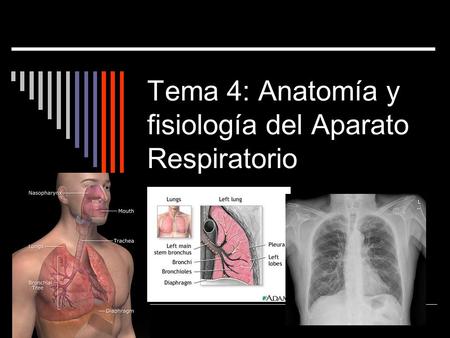 Tema 4: Anatomía y fisiología del Aparato Respiratorio.