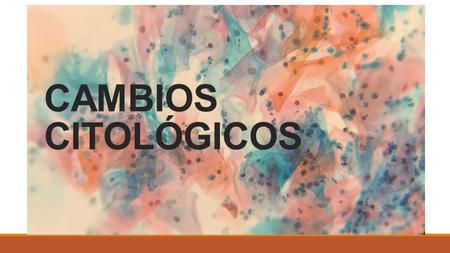 CAMBIOS CITOLÓGICOS. Cambios citológicos debido a infecciones  Infecciones bacterianas ◦Por clamidias  Infecciones por hongos, fúngicas o micosis. 