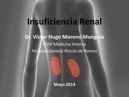 Insuficiencia Renal Dr. Víctor Hugo Moreno Munguía PSSP Medicina Interna Hospital General Rincón de Romos Mayo 2014.