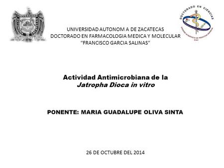 UNIVERSIDAD AUTONOM A DE ZACATECAS DOCTORADO EN FARMACOLOGIA MEDICA Y MOLECULAR “FRANCISCO GARCIA SALINAS” Actividad Antimicrobiana de la Jatropha Dioca.