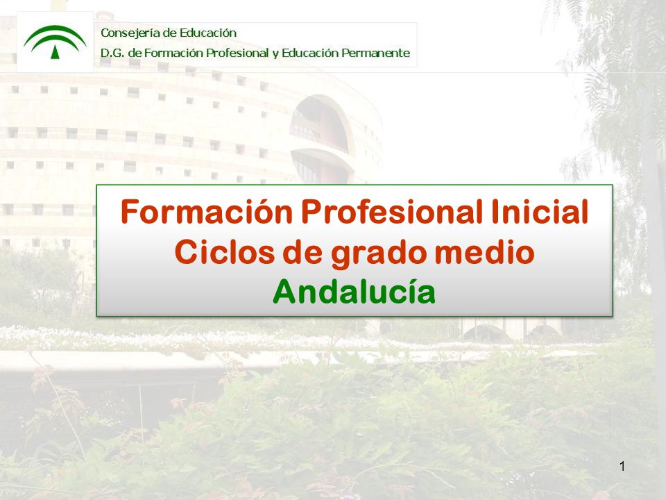 1 Formación Profesional Inicial Ciclos de grado medio Andalucía Formación  Profesional Inicial Ciclos de grado medio Andalucía. - ppt descargar