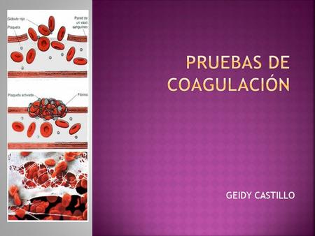GEIDY CASTILLO.  El proceso de coagulación sanguínea es un fenómeno complejo que tiene como objetivo solidificar la sangre líquida. La producción de.