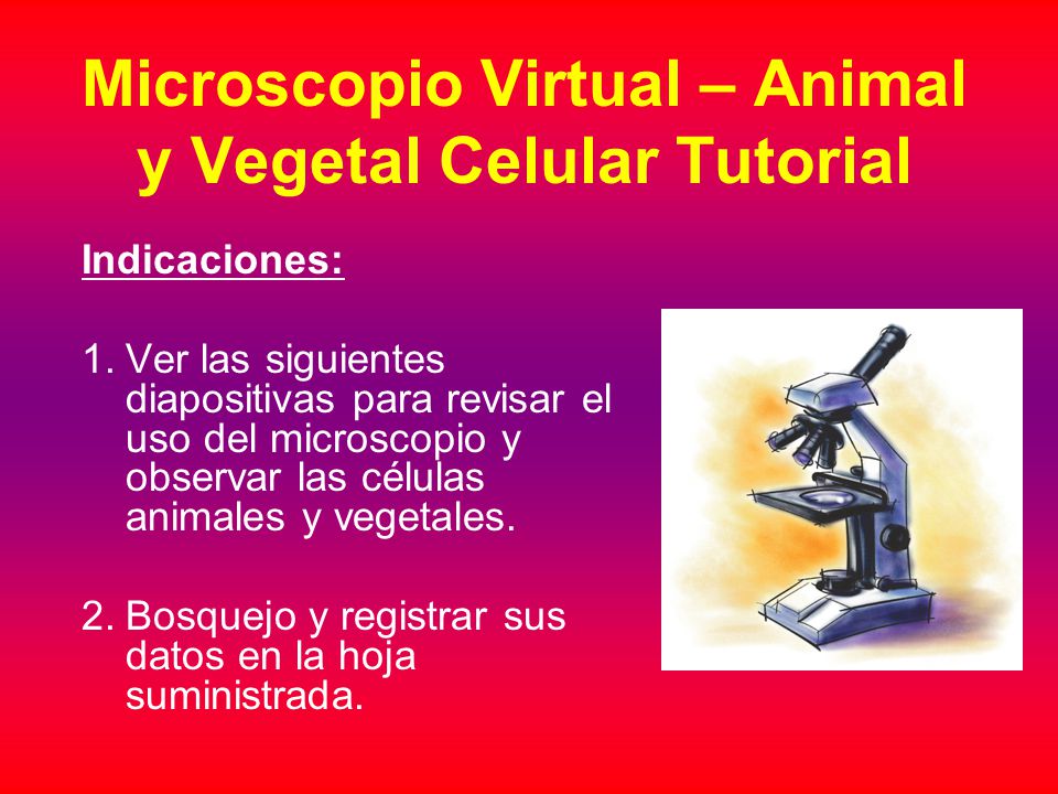 Microscopio Virtual – Animal y Vegetal Celular Tutorial - ppt descargar