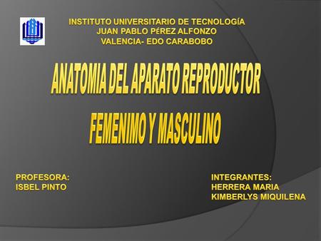 EPIDIMO VESICULAS SEMINALES.
