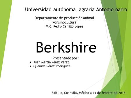 Universidad autónoma agraria Antonio narro Berkshire Departamento de producción animal Porcinocultura M.C. Pedro Carrillo López Presentado por :  Juan.