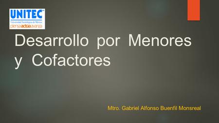 Desarrollo por Menores y Cofactores Mtro. Gabriel Alfonso Buenfil Monsreal.