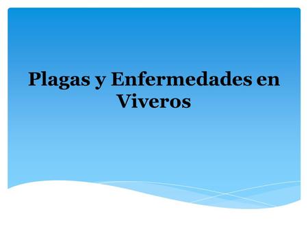 Plagas y Enfermedades en Viveros.  Al generar las condiciones ambientales favorables para el sano desarrollo de las plantas en un vivero, hay que considerar.