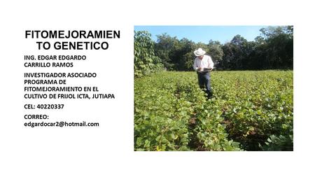 ING. EDGAR EDGARDO CARRILLO RAMOS INVESTIGADOR ASOCIADO PROGRAMA DE FITOMEJORAMIENTO EN EL CULTIVO DE FRIJOL ICTA, JUTIAPA CEL: CORREO: