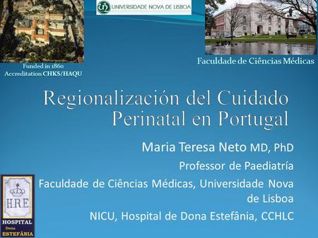 Regionalización del Cuidado Perinatal en Portugal