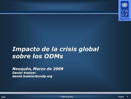 | UNDP Argentina ODM 1 1 Página Impacto de la crisis global sobre los ODMs Neuquén, Marzo de 2009 Daniel Kostzer