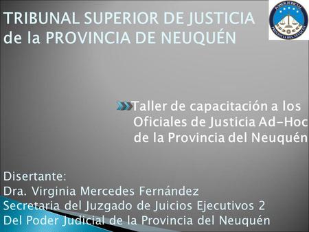 TRIBUNAL SUPERIOR DE JUSTICIA de la PROVINCIA DE NEUQUÉN Taller de capacitación a los Oficiales de Justicia Ad-Hoc de la Provincia del Neuquén Disertante:
